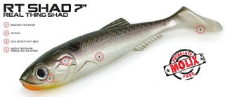 T_MOLIX RT SHAD FROM PREDATOR TACKLE*